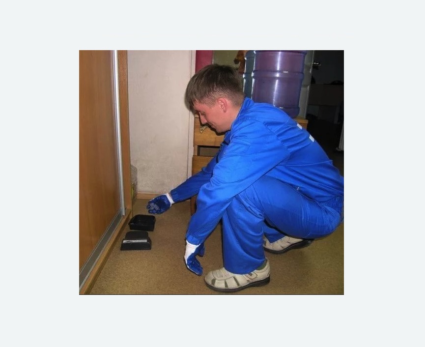 Дератизация крыс Дератизация крыс в Петрозаводске