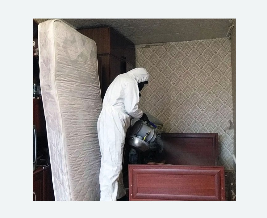 дезинфекция от клопов дезинфекция от клопов в Петрозаводске