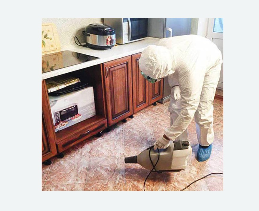 обработка квартиры от клопов в Петрозаводске обработка квартиры от клопов