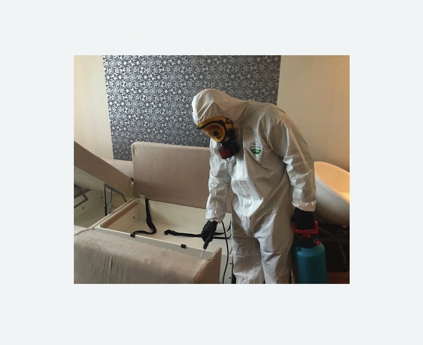 уничтожение клопов в квартире уничтожение клопов в квартире в Петрозаводске